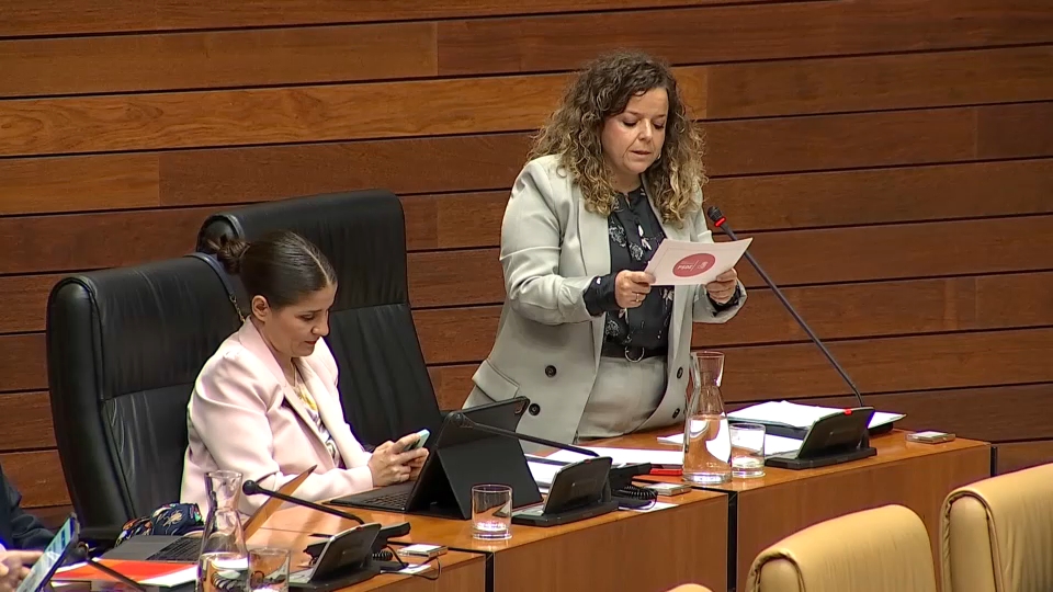 La diputada socialista María de la Cruz Rodríguez deja su escaño en la Asamblea de Extremadura