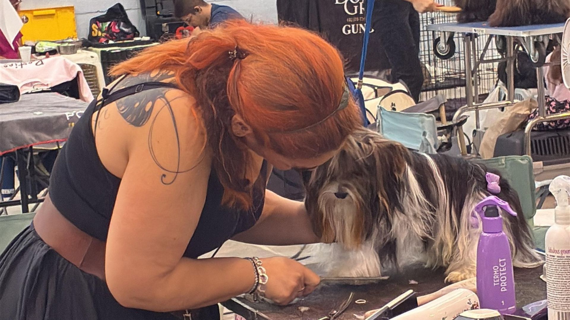 Exposición Canina