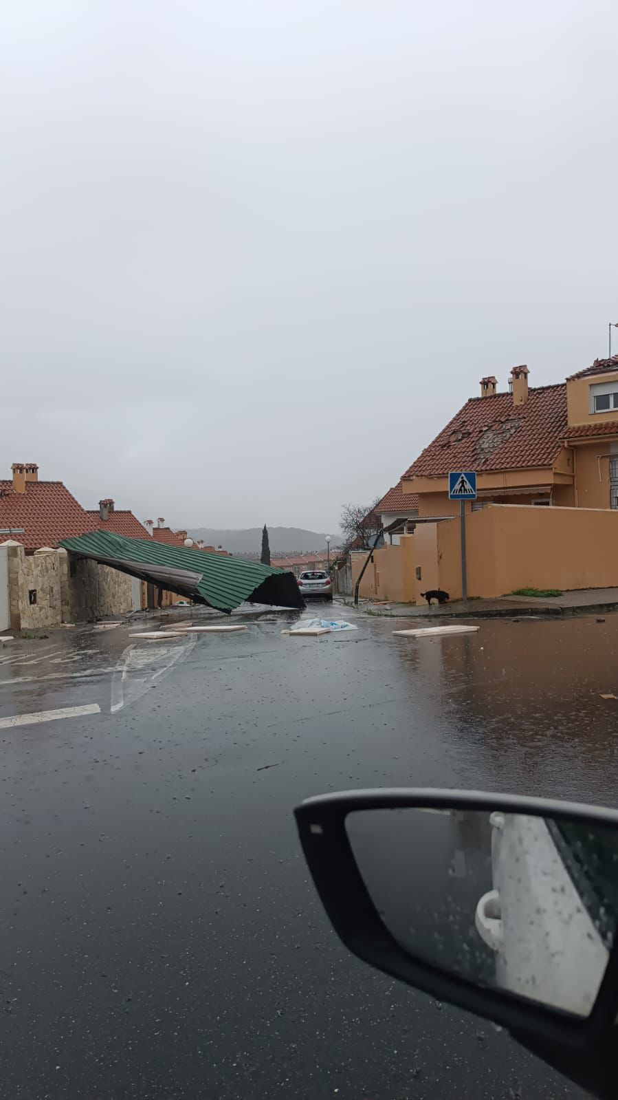 Cedida