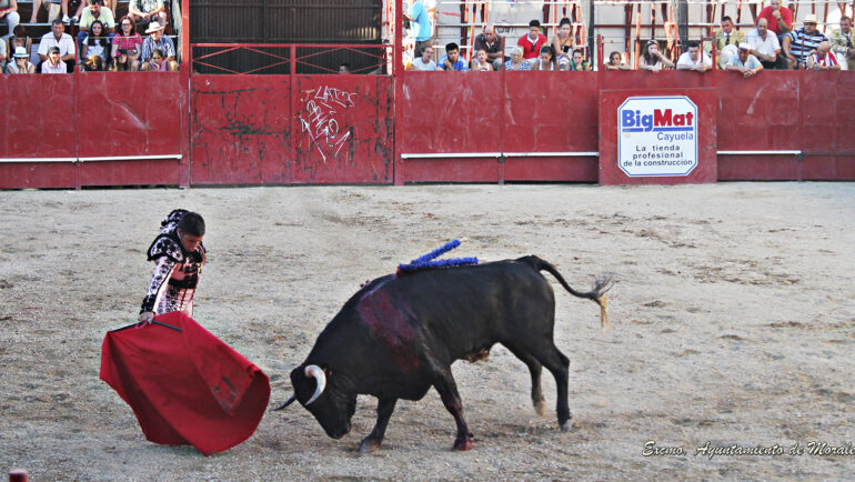 Foto: Ayuntamiento Moraleja