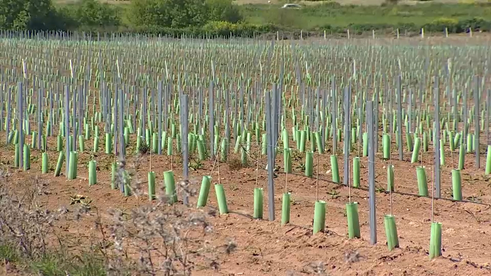 Canal Extremadura