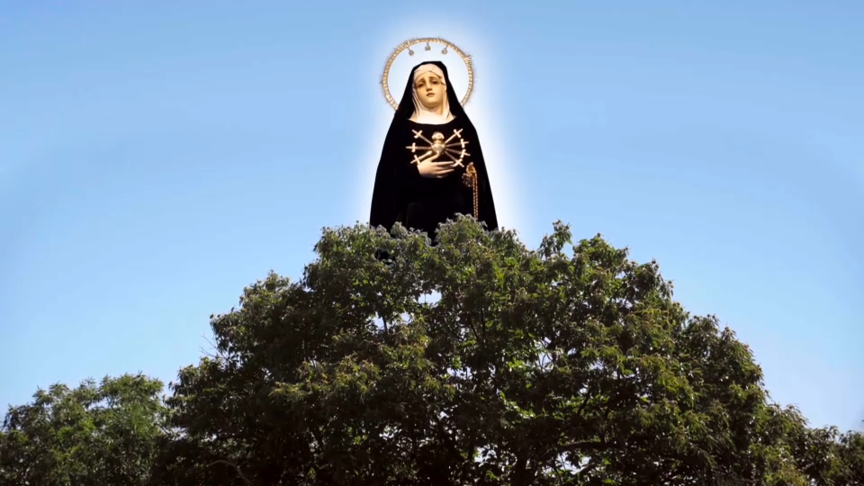 Cedida