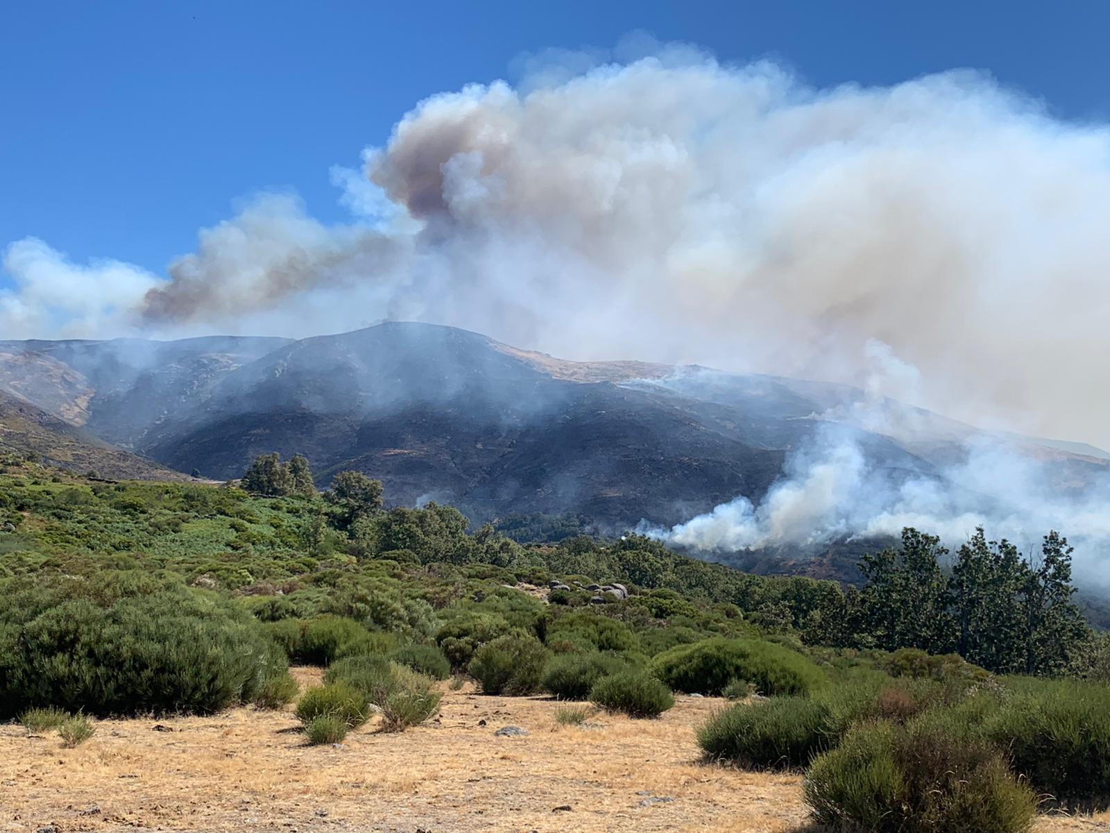 Imagen del incendio a media mañana 