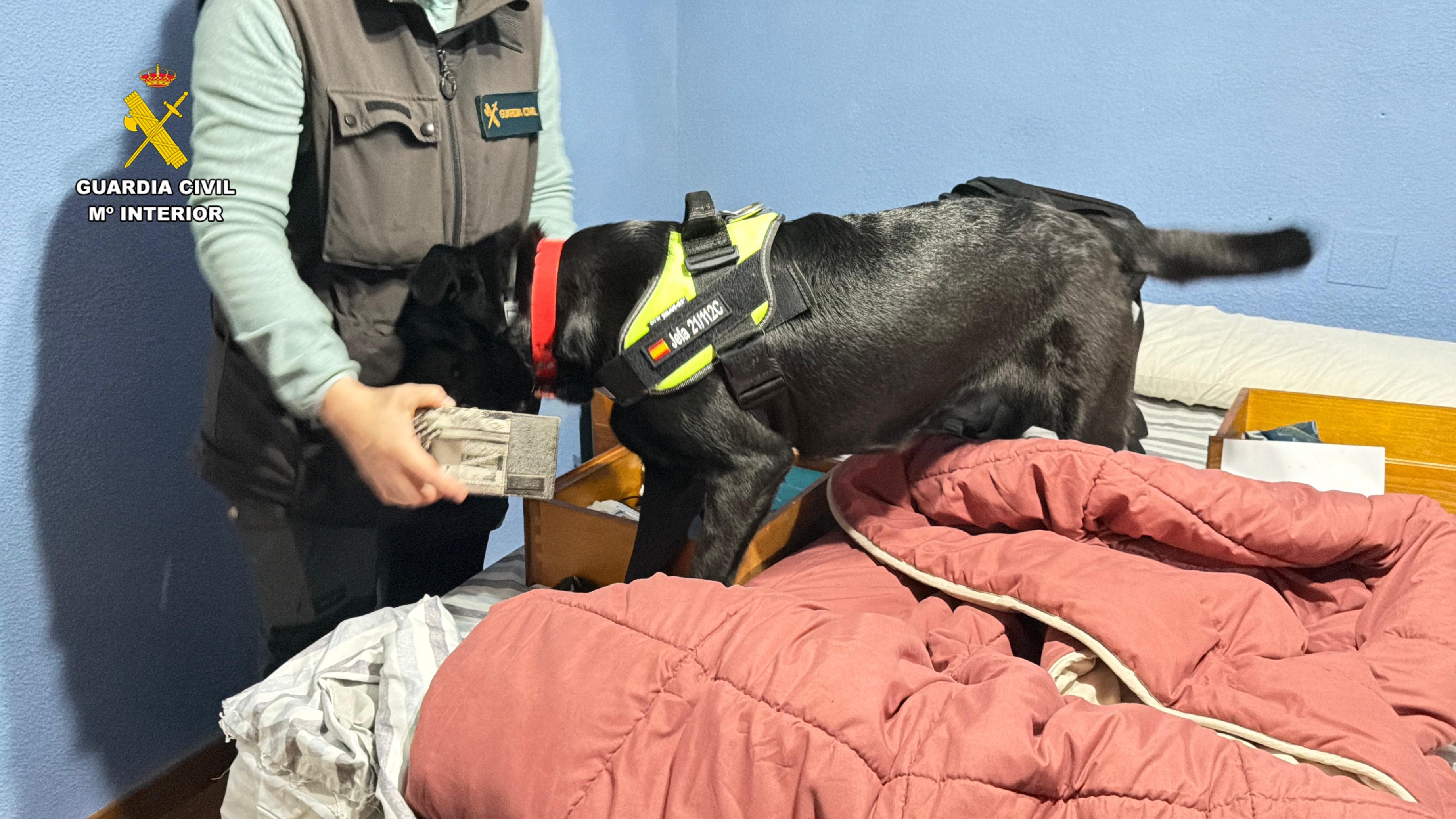 GUARDIA CIVIL