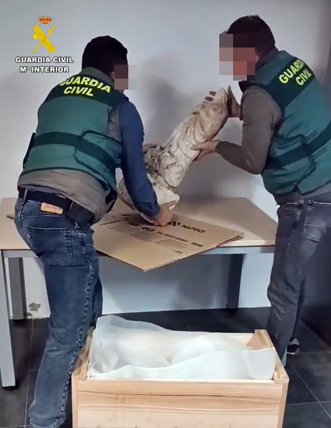 virgen recuperada