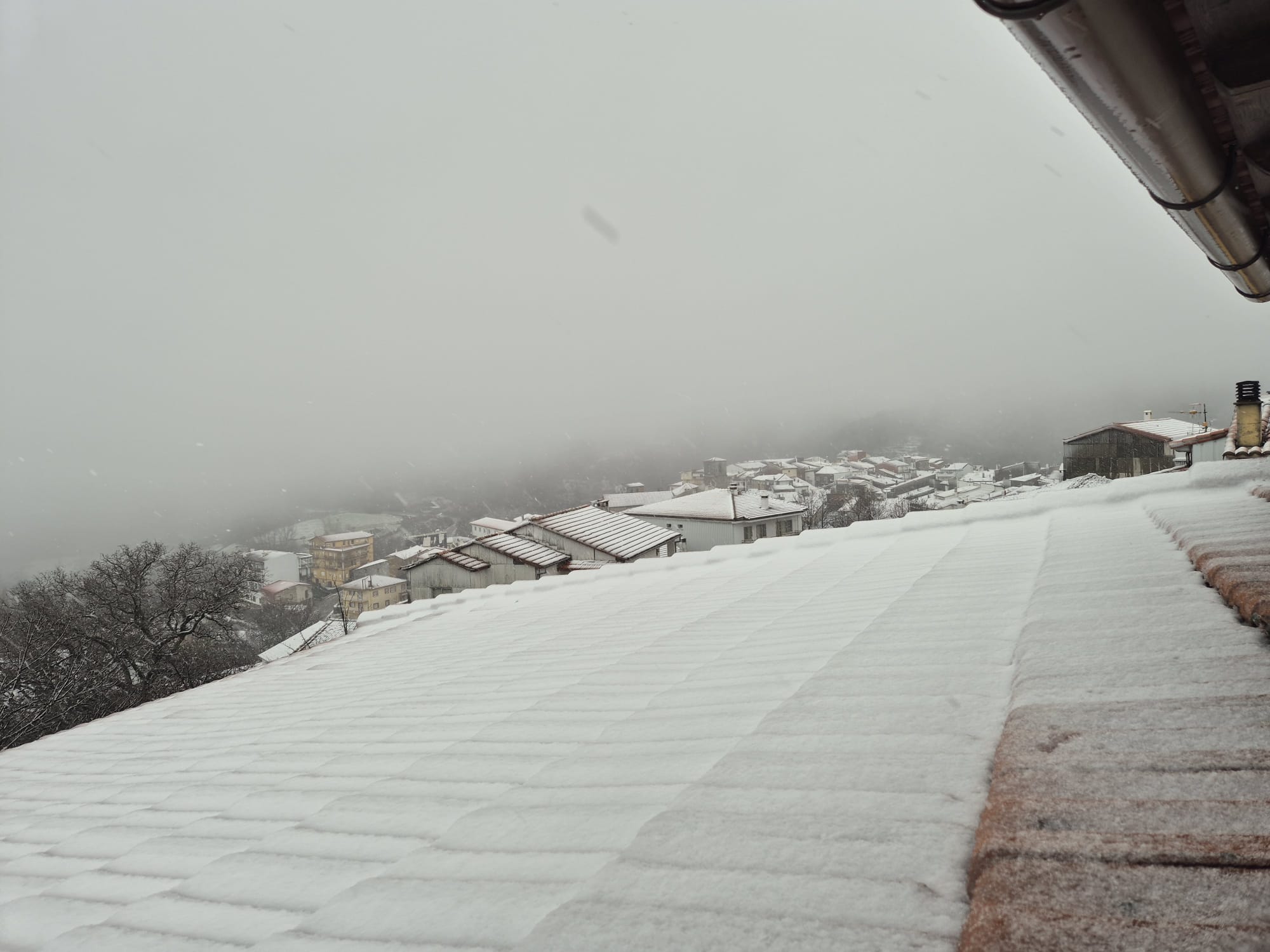 nieve 3