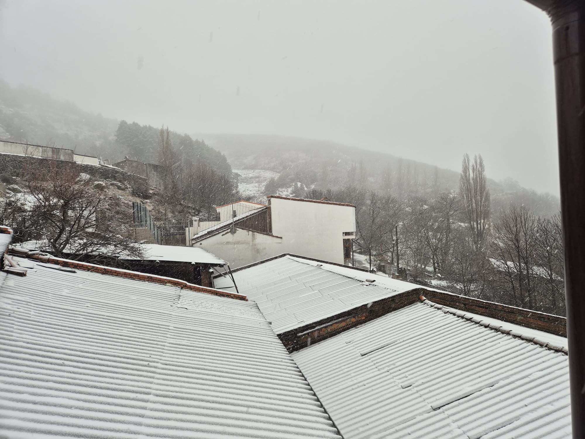 nieve 2