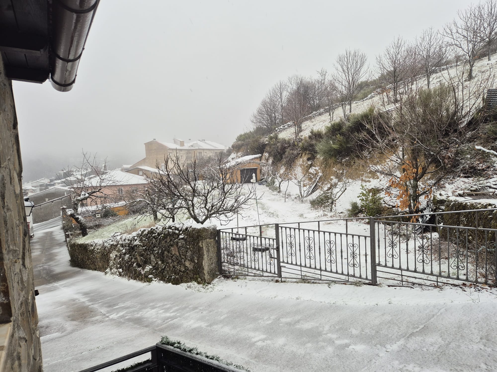 nieve