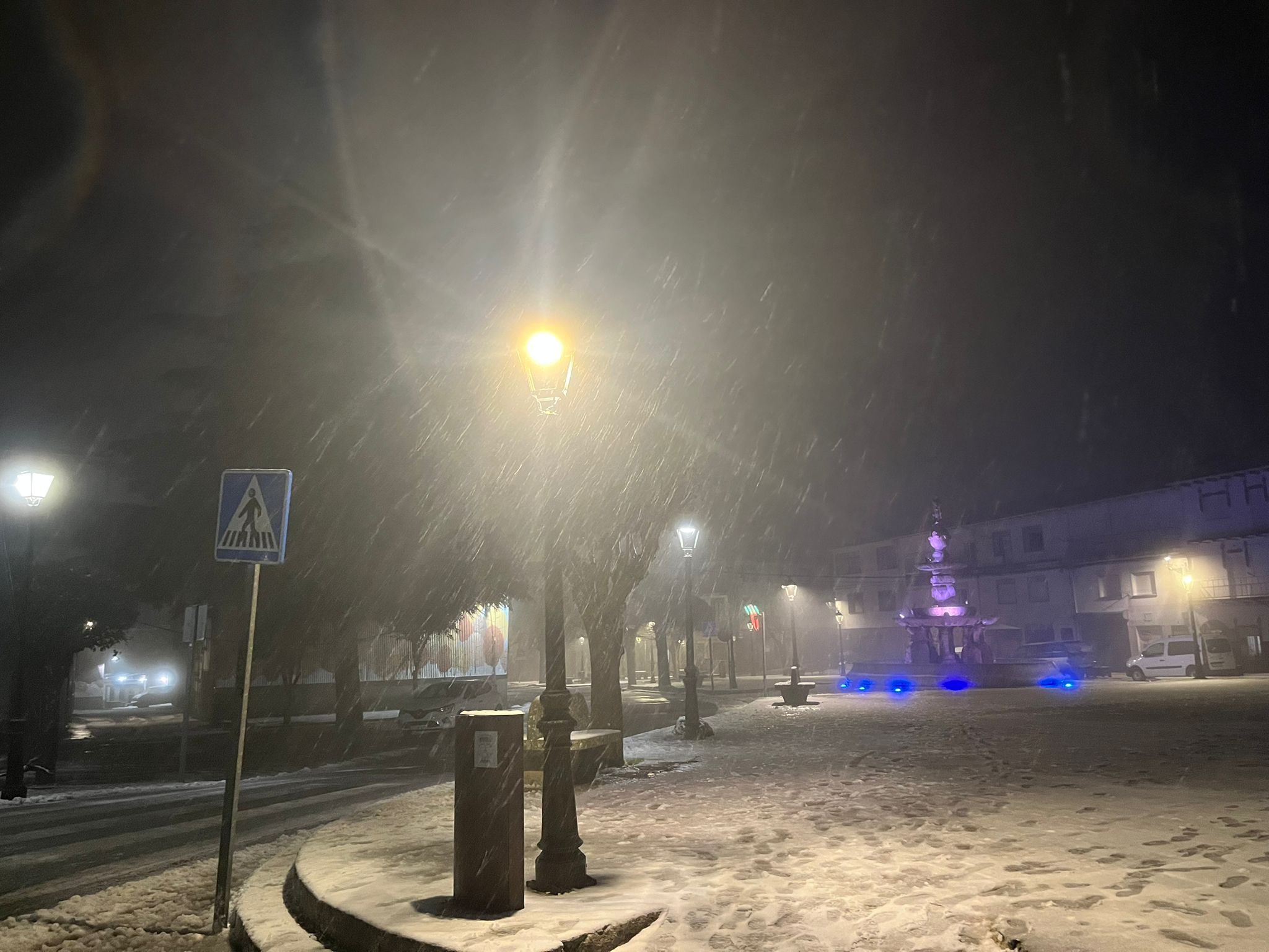 nieve piornal