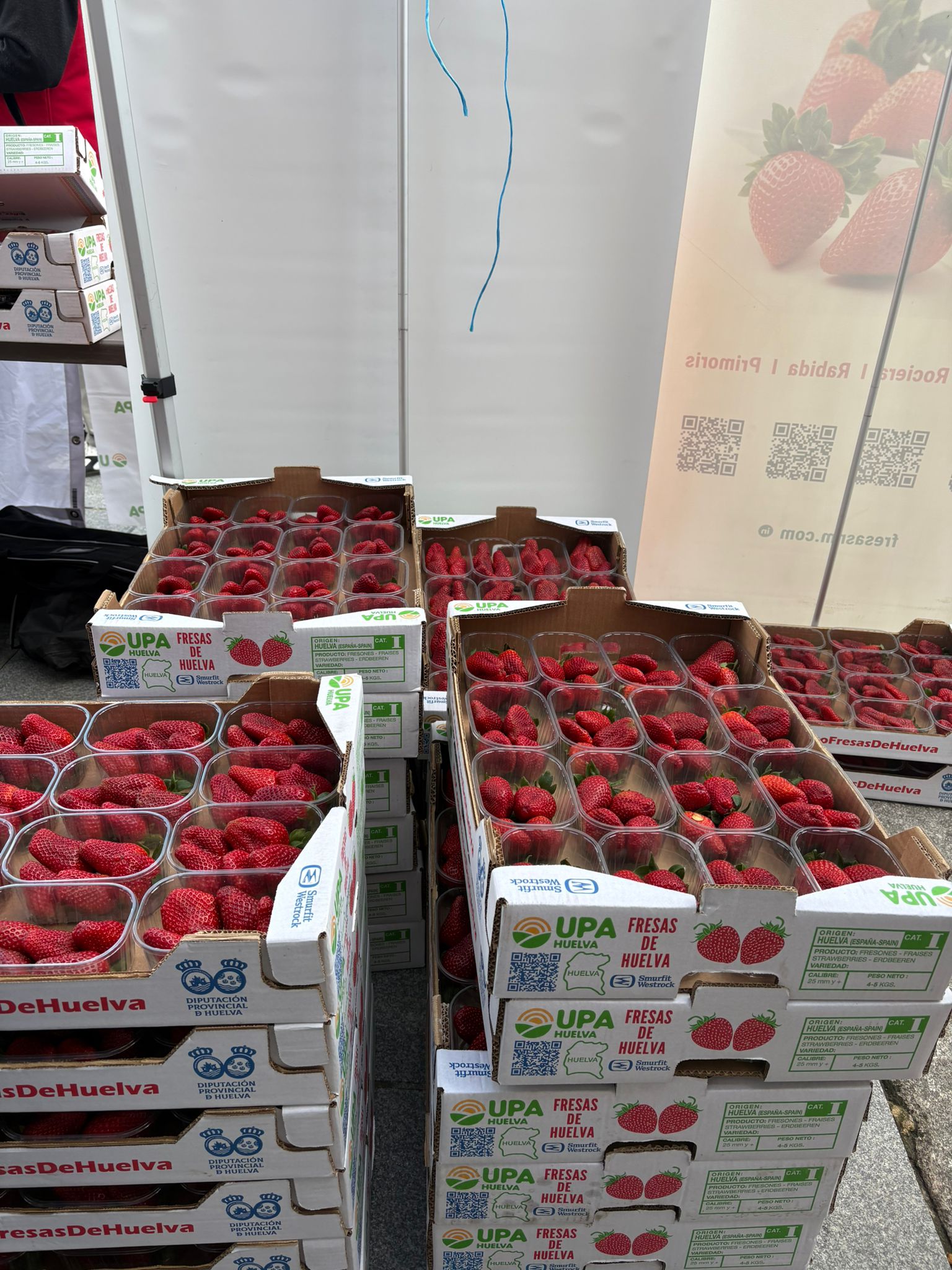 fresas