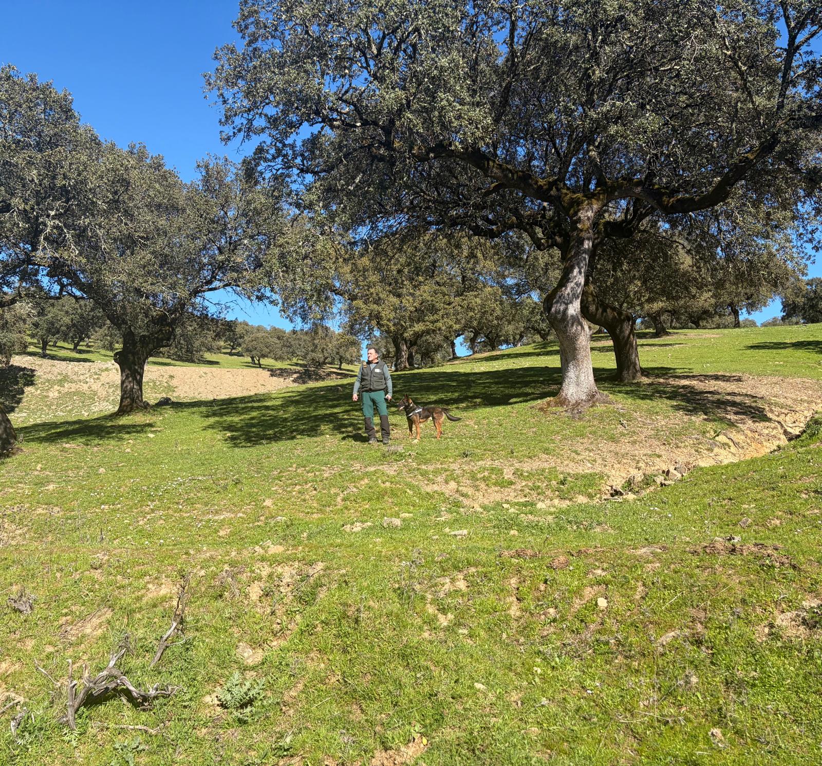 Cedida