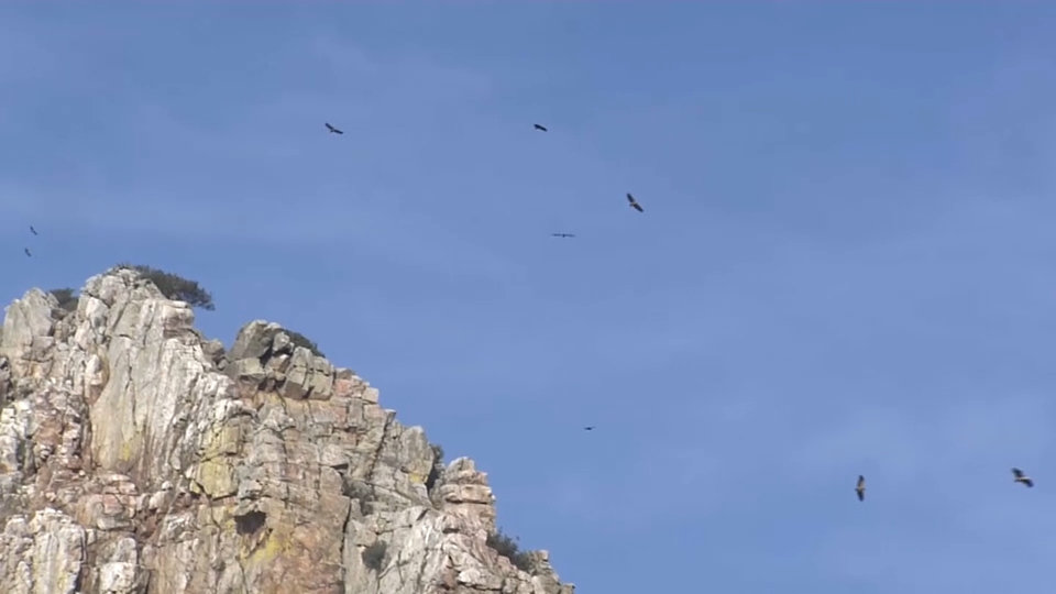 Canal Extremadura