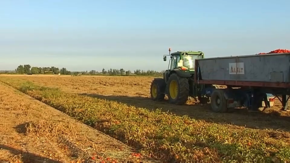 el campo es un sector que demanda mano de obra