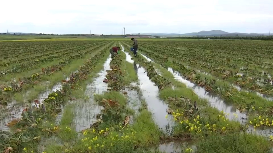 Canal Extremadura