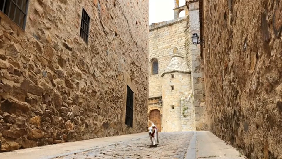 Extremadura se posiciona como referente en alojamientos 'pet friendly'