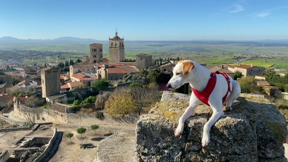 Extremadura se posiciona como referente en alojamientos 'pet friendly'