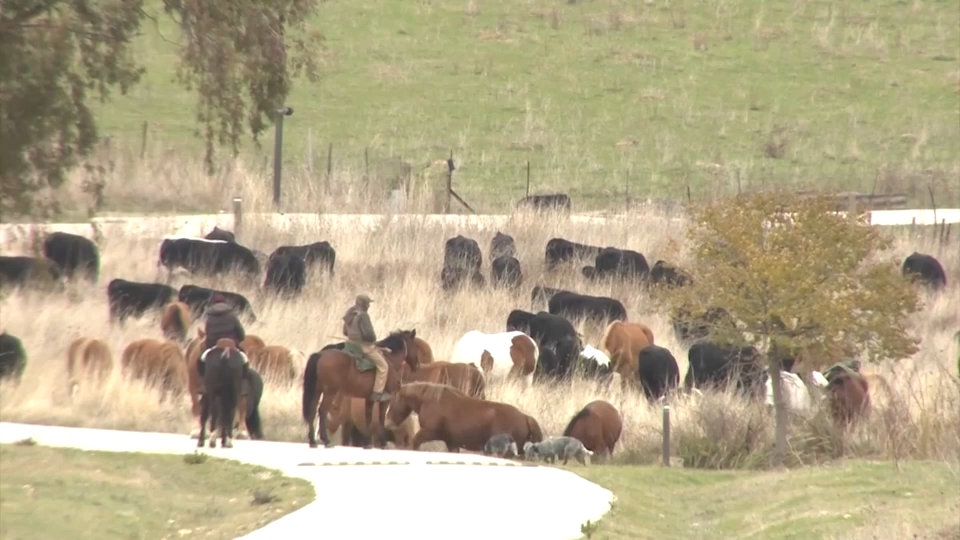Canal Extremadura