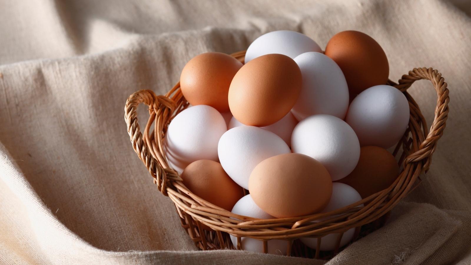 Huevos camperos