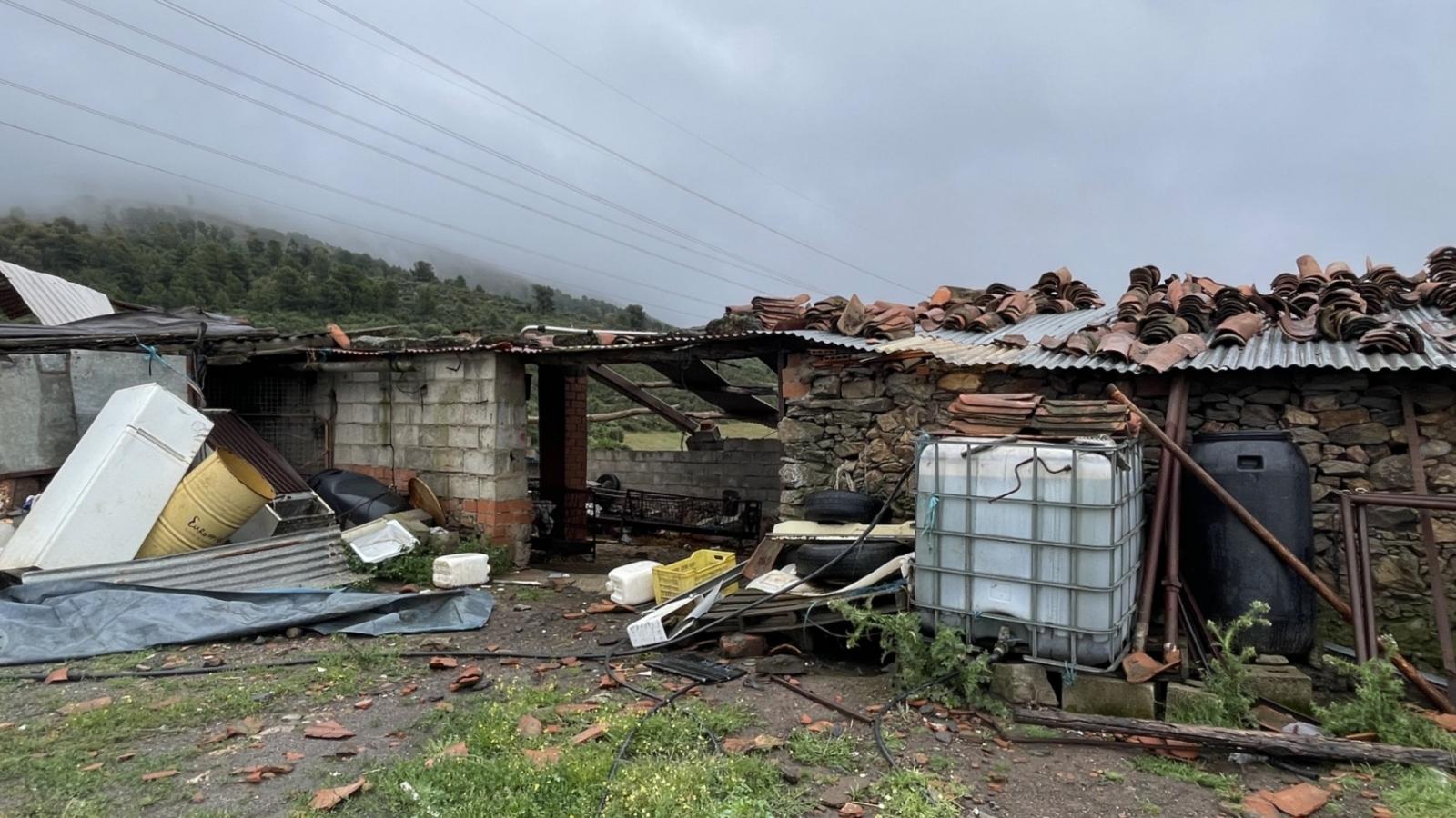 Daños ocasionados por el paso de un tornado en Villanueva de la Sierra. 