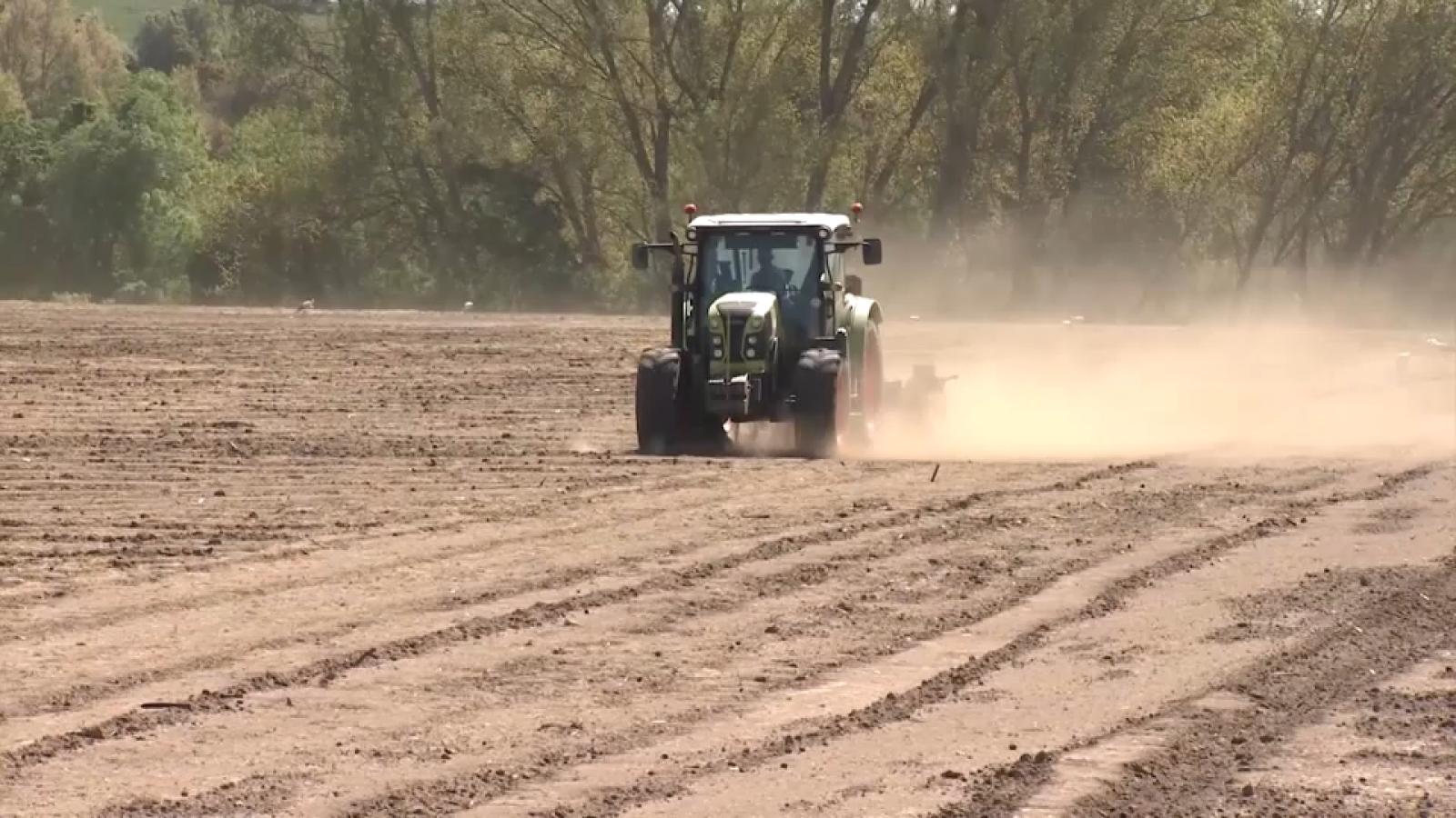 Agricultura