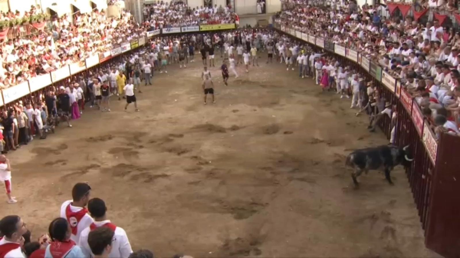 Encierro en los Sanjuanes de Coria 2026