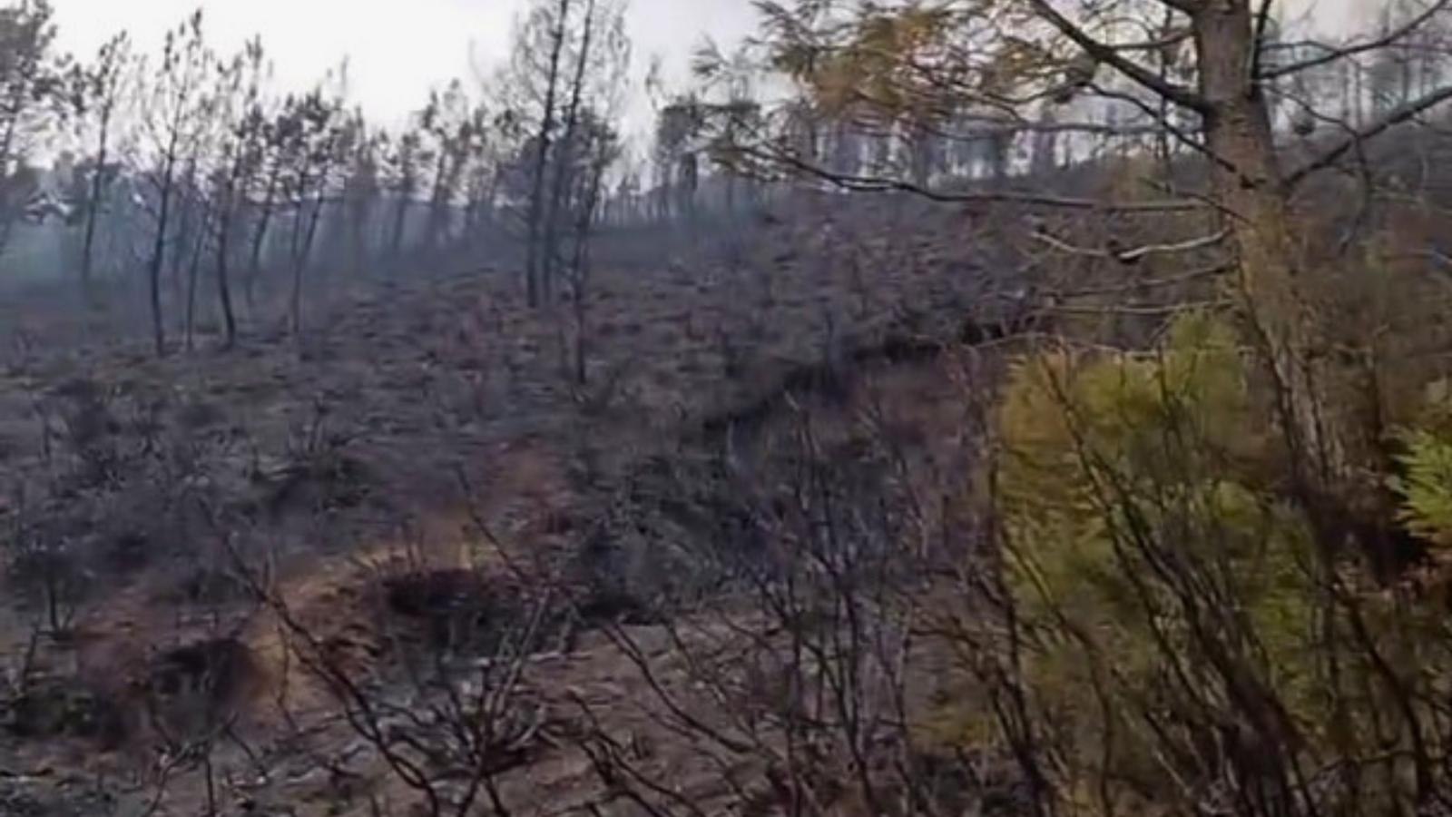 Estabilizado el incendio forestal de Robledillo de Gata