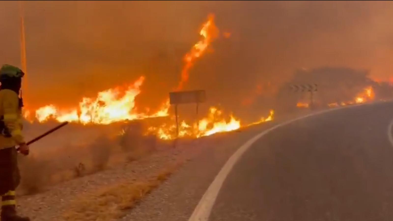Incendio forestal en Los Gallardos, Almería