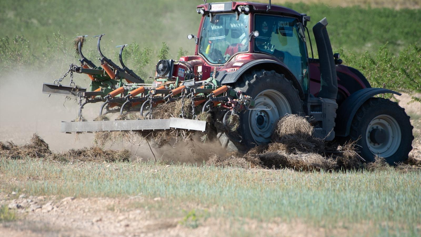 Ayudas al campo