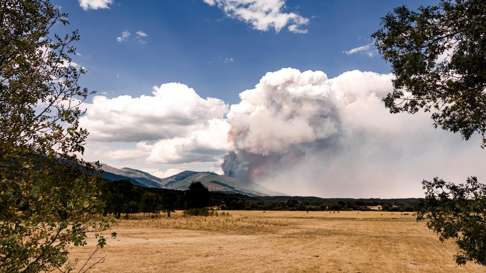 Vista del incendio desde el valle del Tiétar, a 25 de julio de 2026