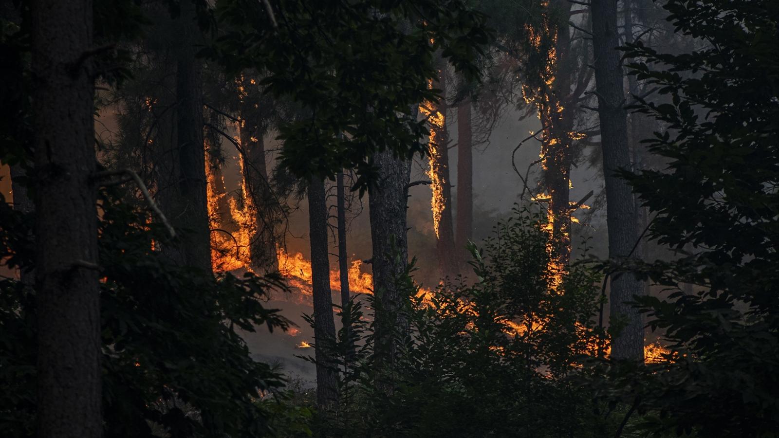INCENDIOS