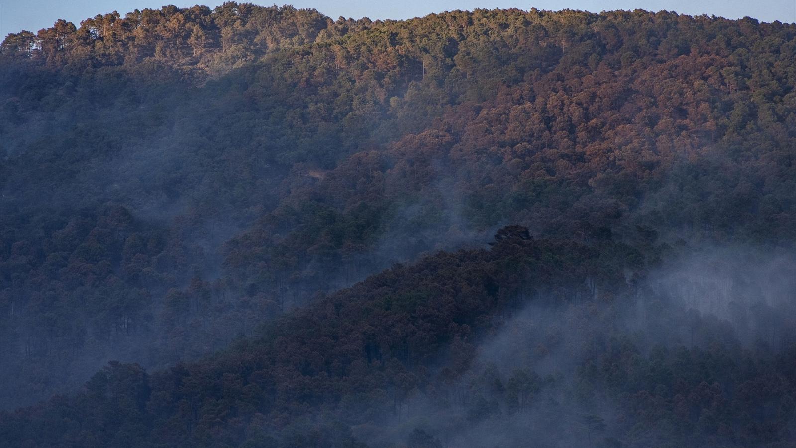 INCENDIOS
