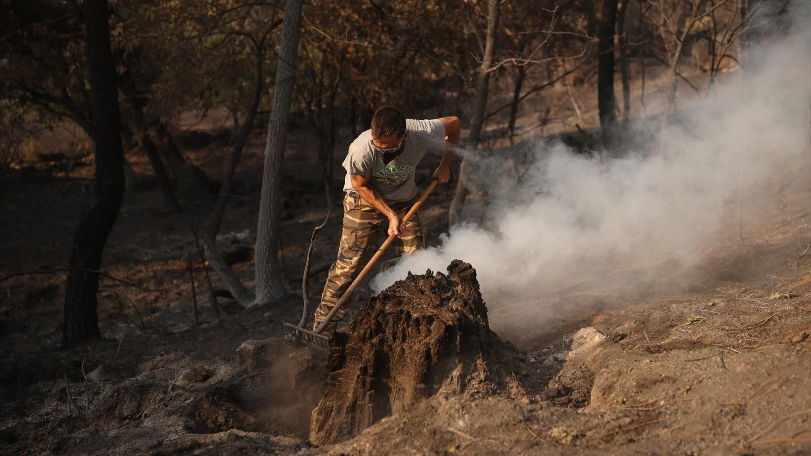 Aemet alerta de peligro muy alto o extremo de incendios en gran parte del país hasta el domingo