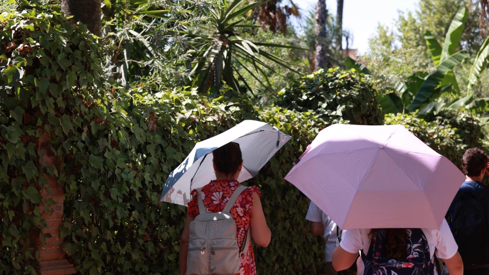 Varias personas se refugian del sol con paraguas
