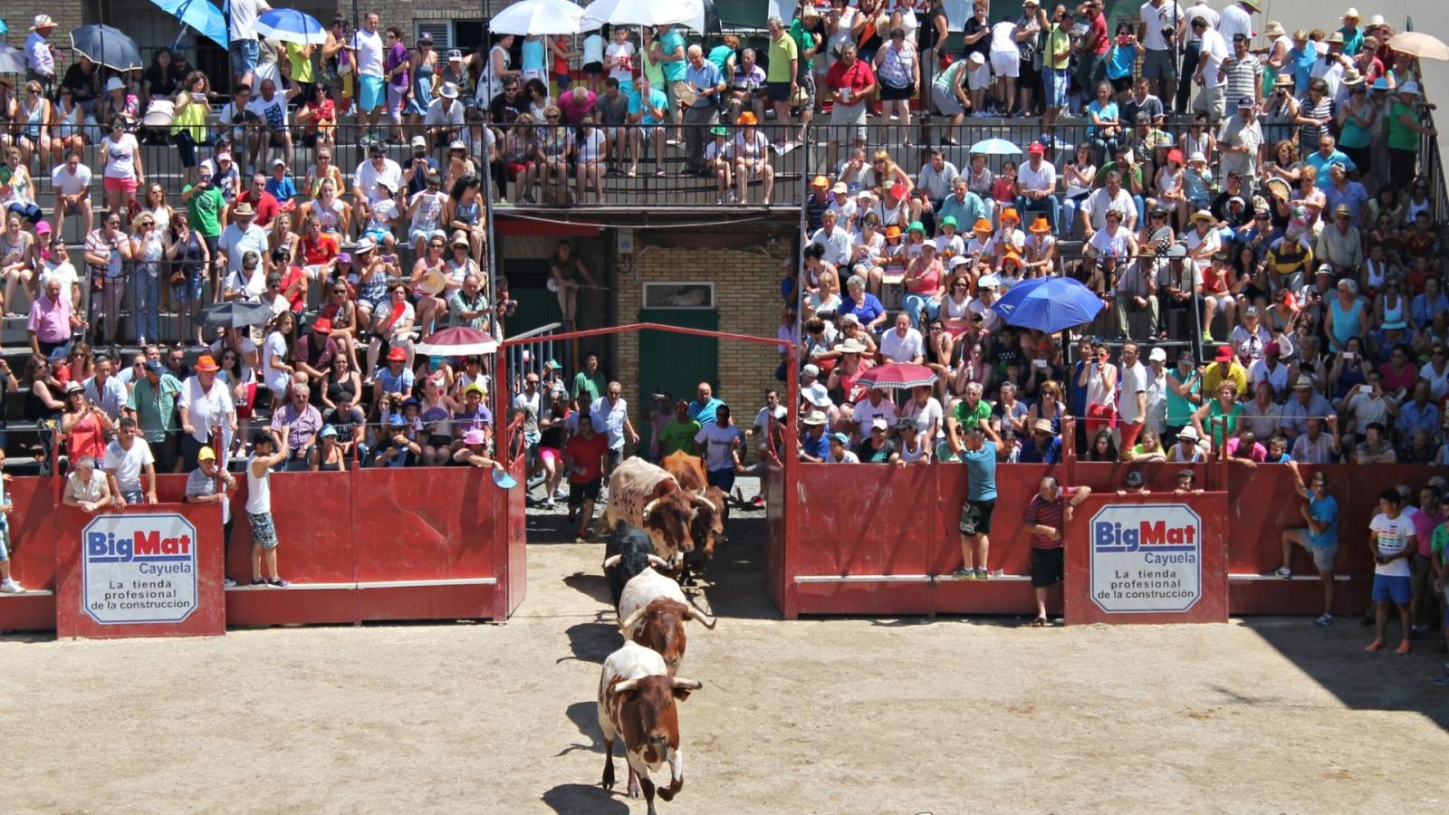 Fiestas de San Buenaventura