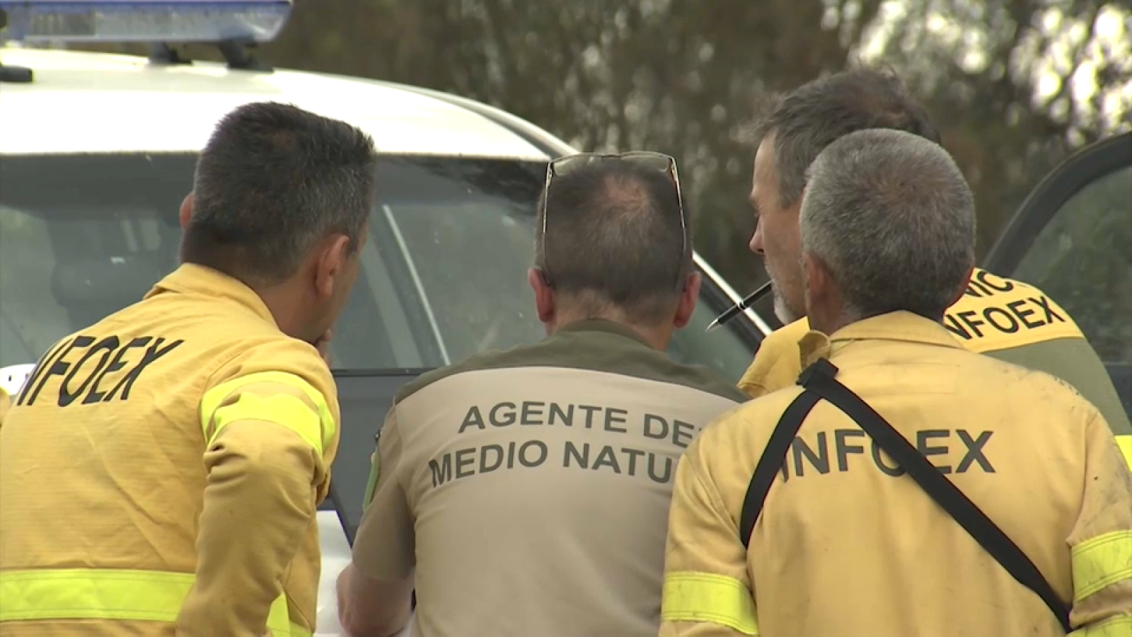 Trabajadores del Infoex