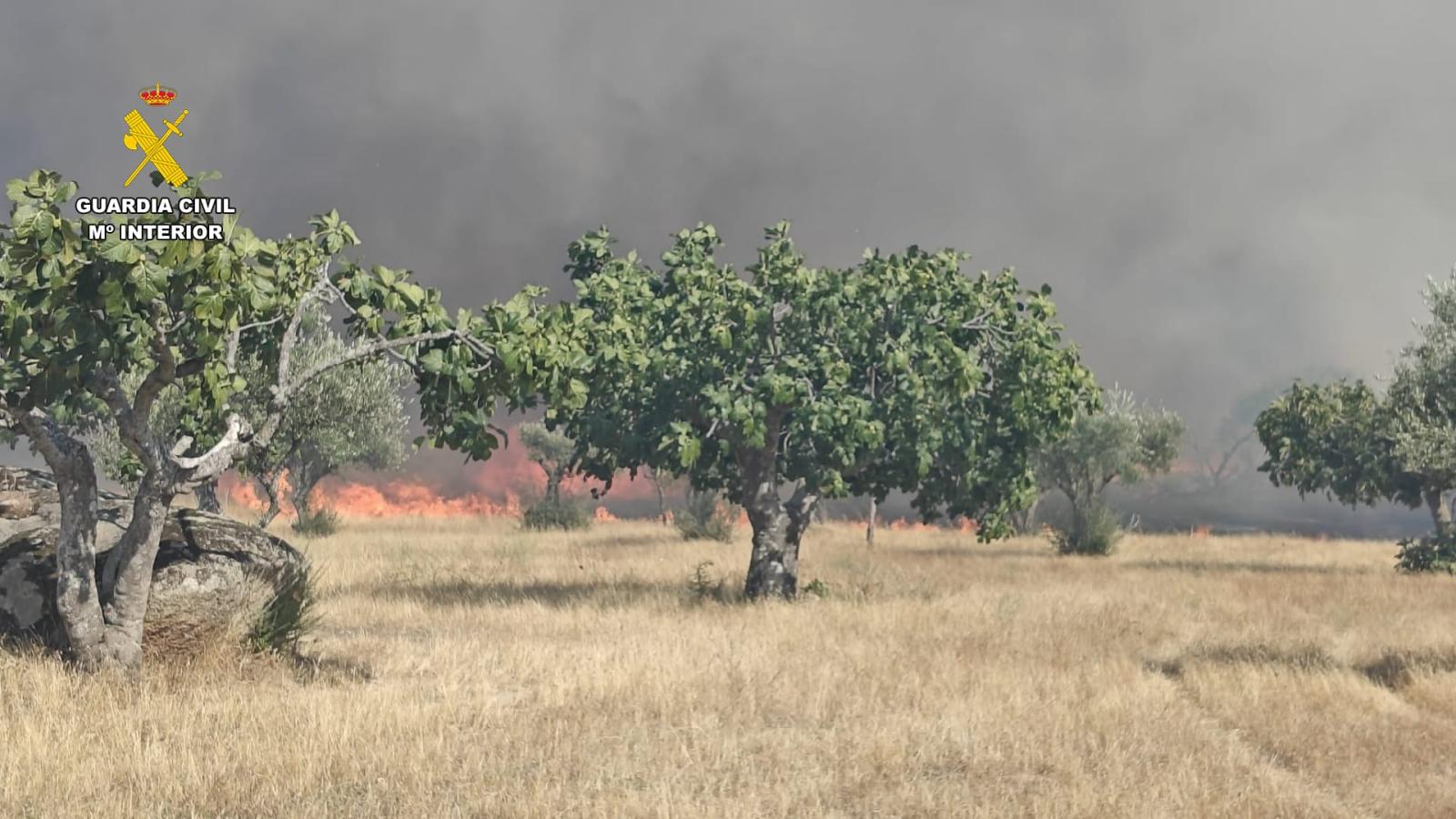 Incendio en Arroyo de la Luz