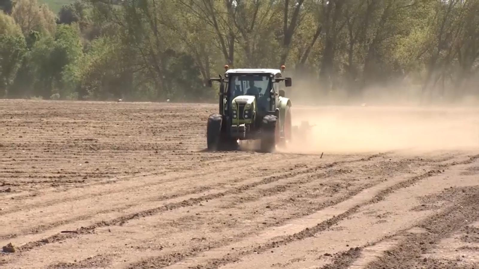 Nuevo respaldo al campo ante el alza de fertilizantes: Europa aprueba una ayuda de 540 millones