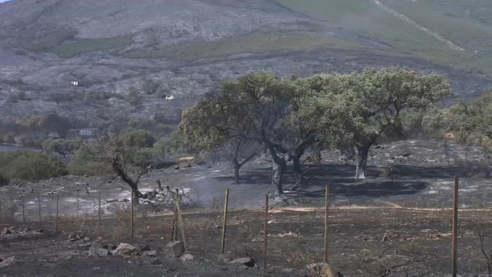 El incendio de Casas de Millán se encuentra estabilizado entre un 80% y un 85%