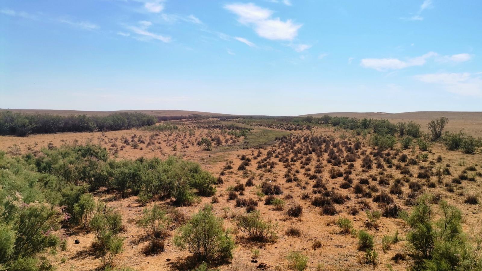 Archivo. Desertificación