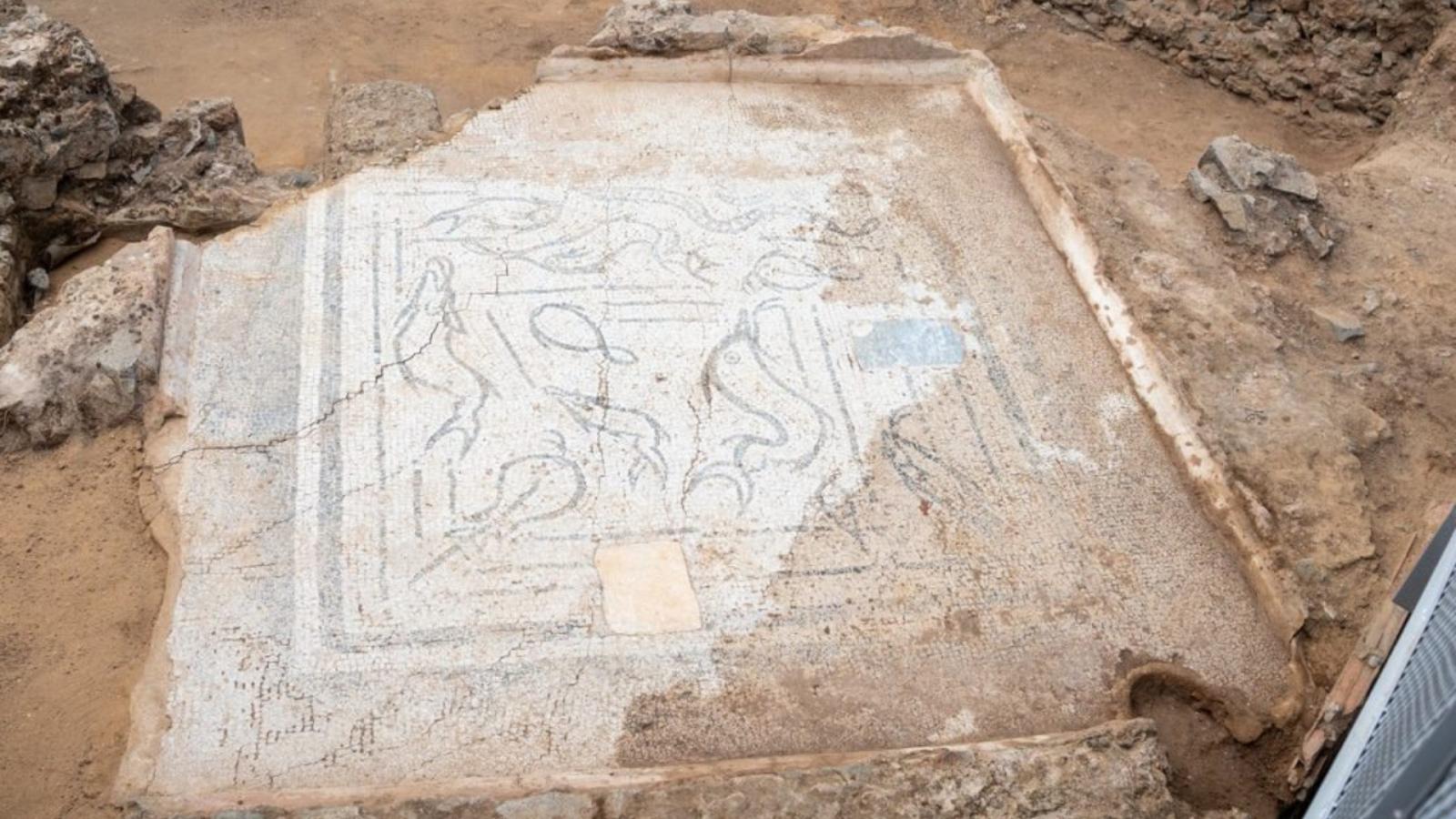 El mosaico, descubierto durante las excavaciones de la Ciudad de la Infancia