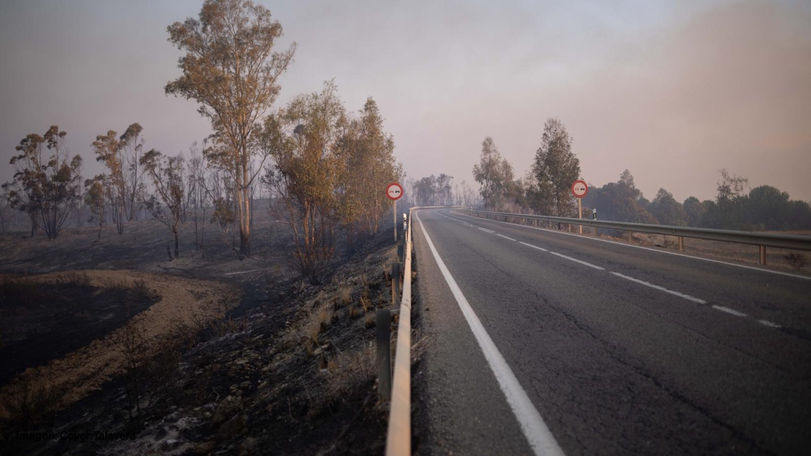 Incendio forestal