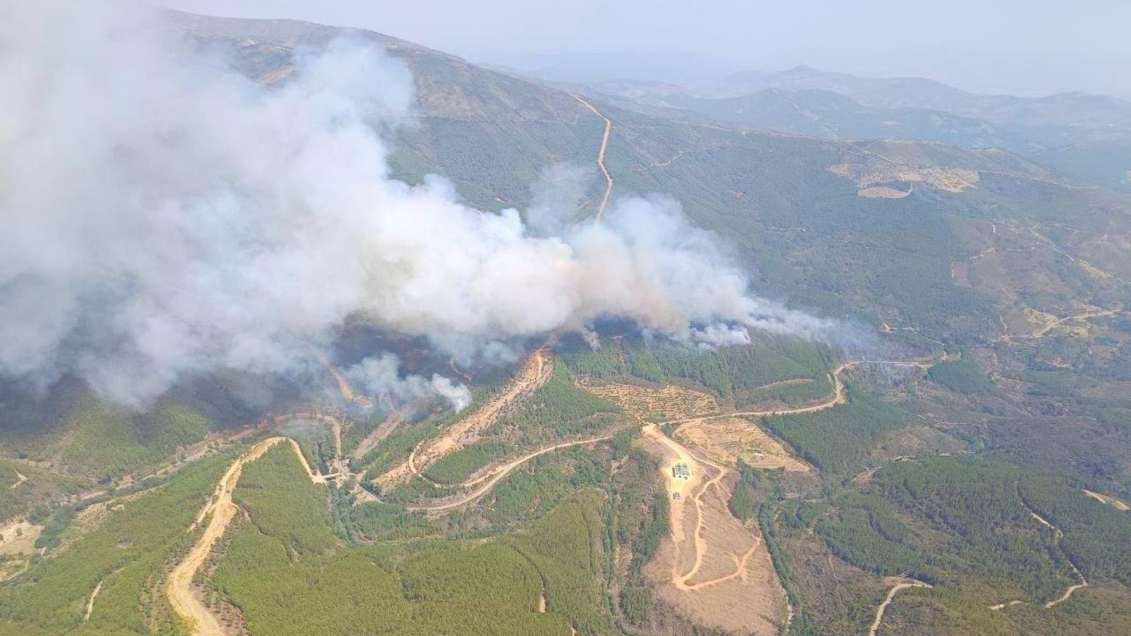 Incendio en Pinofranqueado