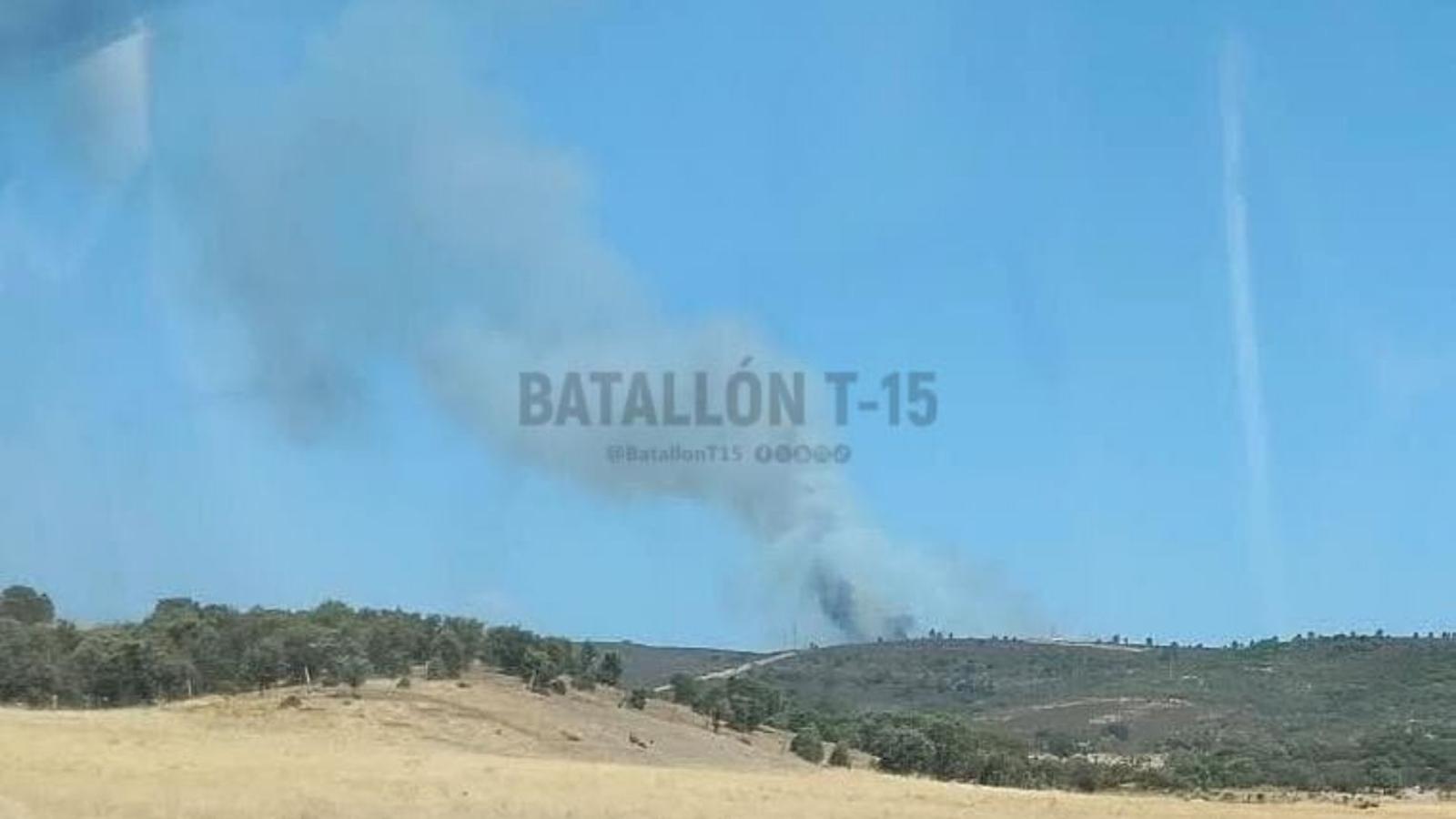 Batallón T-15