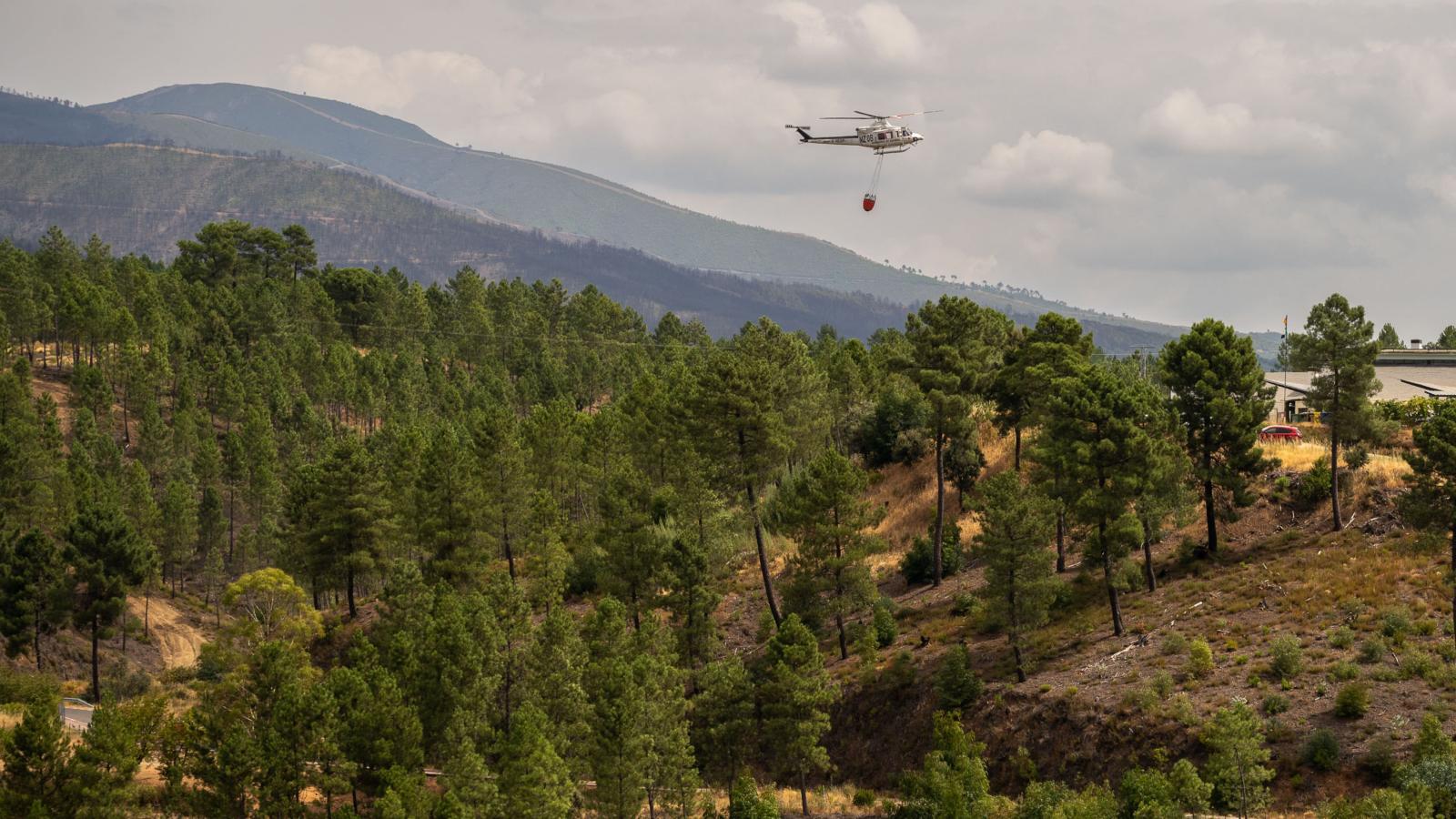 Infoex. Medios aéreos durante la extinción de un incendio forestal