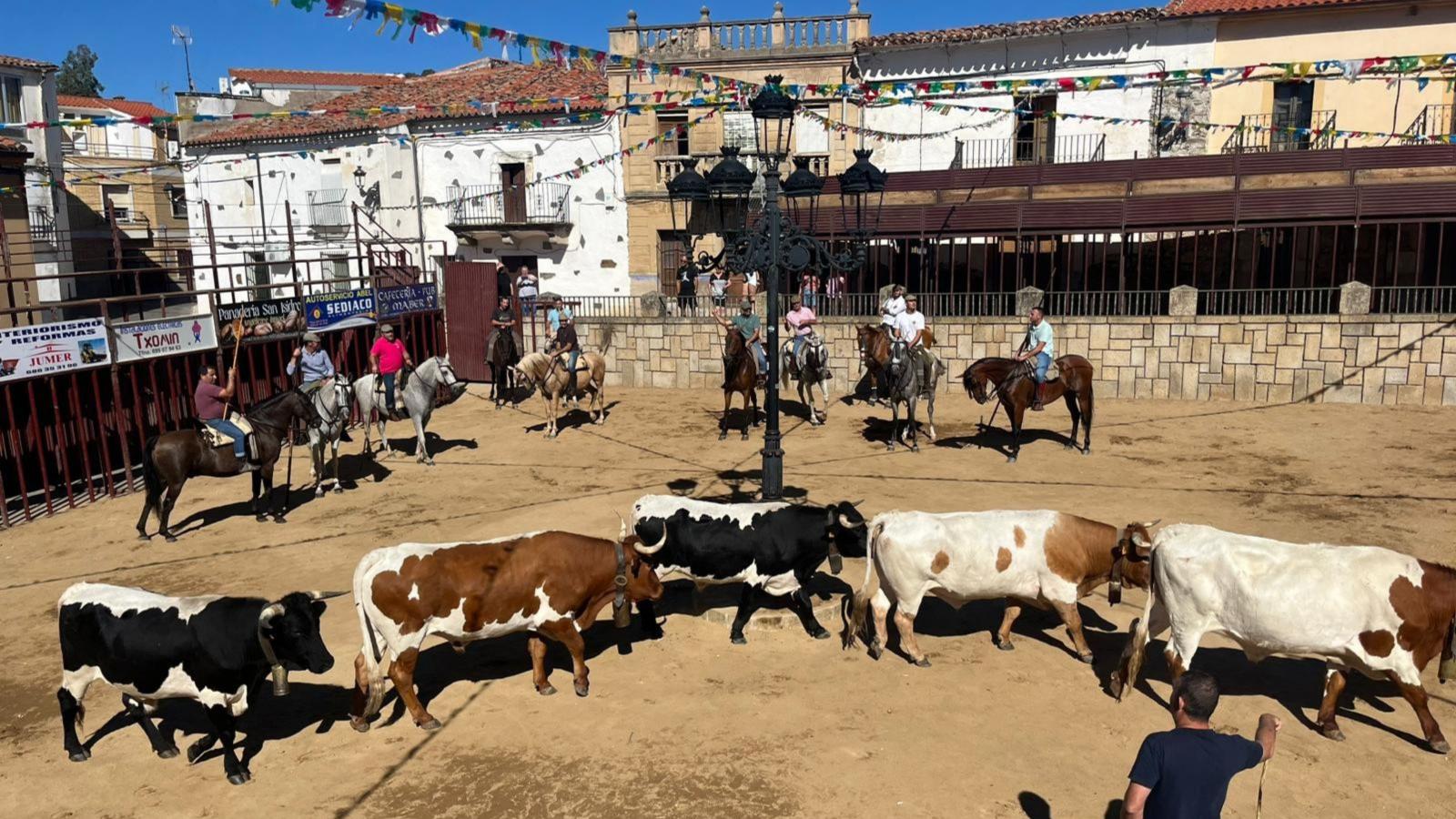 Encierro a caballo por las fiestas de San Ramón en Casillas de Coria (Cáceres).