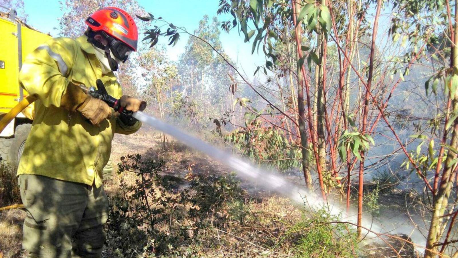 Bombero del Infoex trabajando en la extinción de un incendio forestal