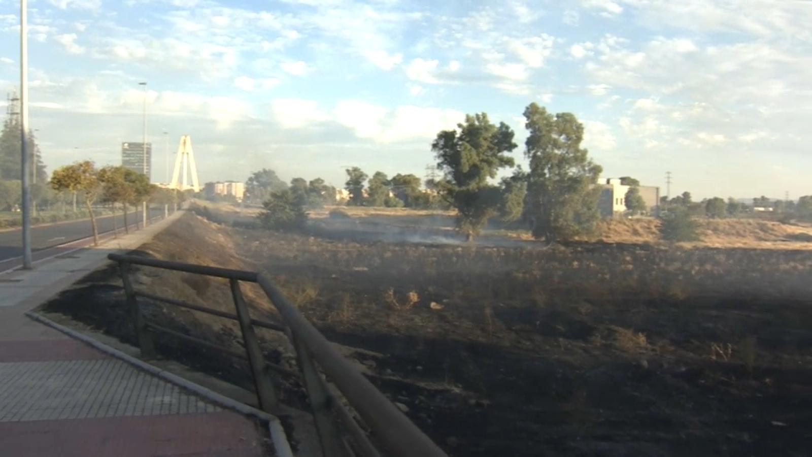 Incendio junto al Puente Real de Badajoz en agosto de 2025