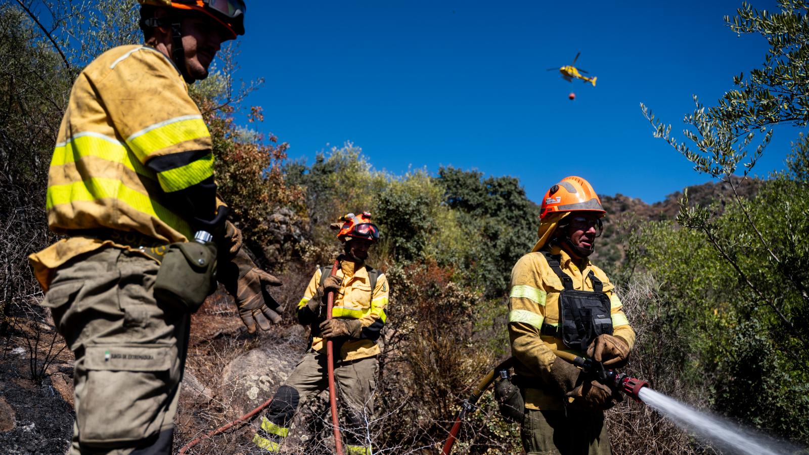 El Plan Infoex interviene en 33 incidentes durante la semana y registra 15 incendios forestales