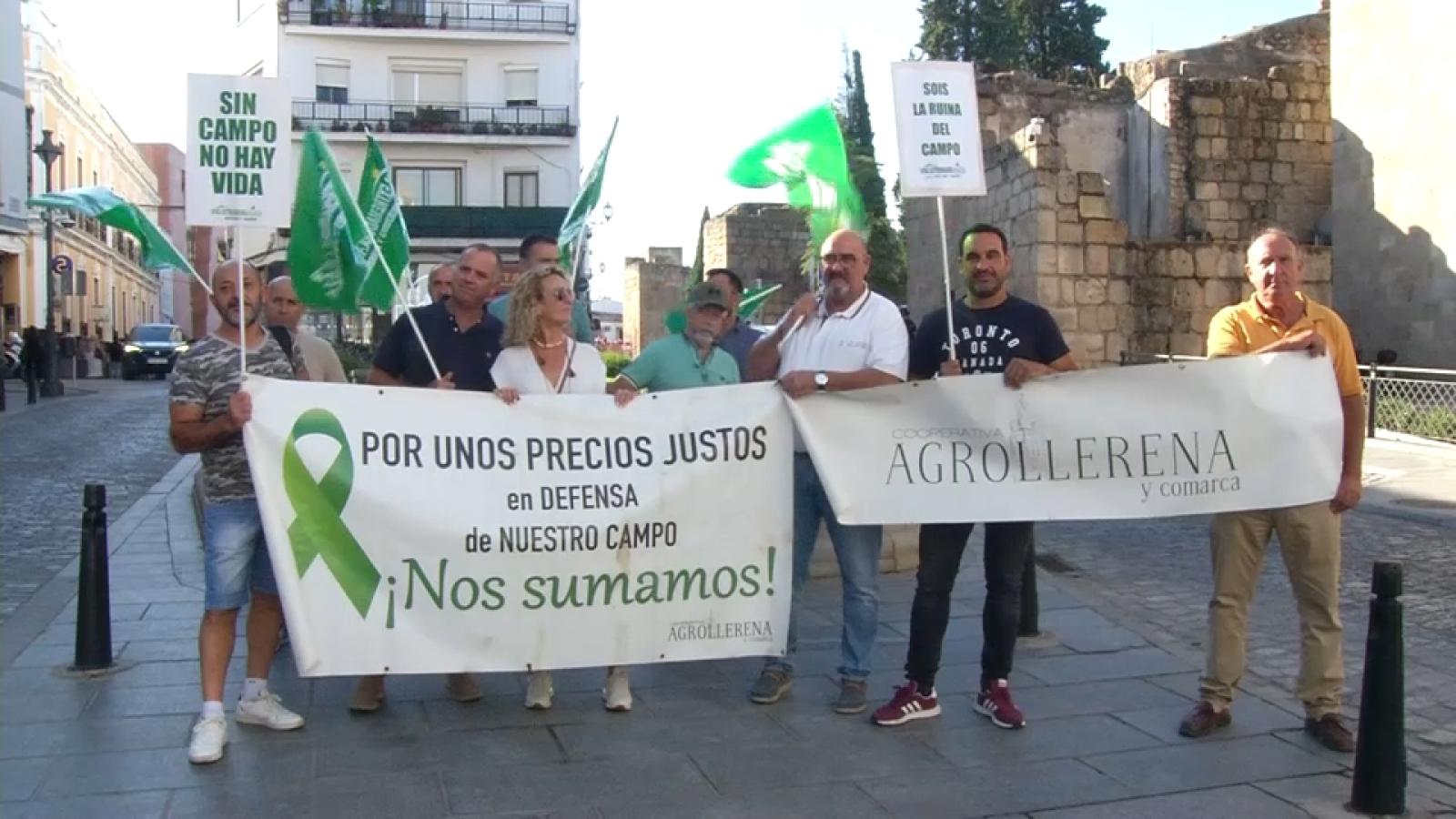 Acampada de Apag Extremadura Asaja frente a Presidencia