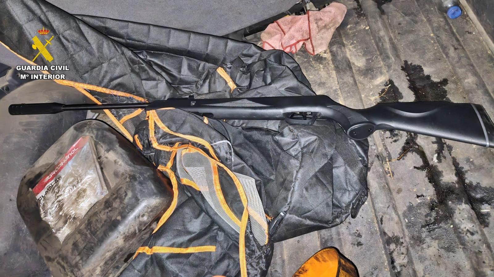 Investigan a cinco vecinos de Táliga por la muerte de al menos 12 gatos 